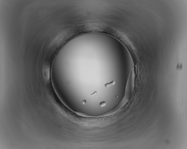 X0000090930021200707301605