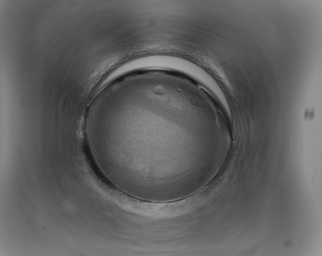 X0000090930023200707301605