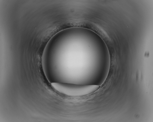 X0000090930025200707301605