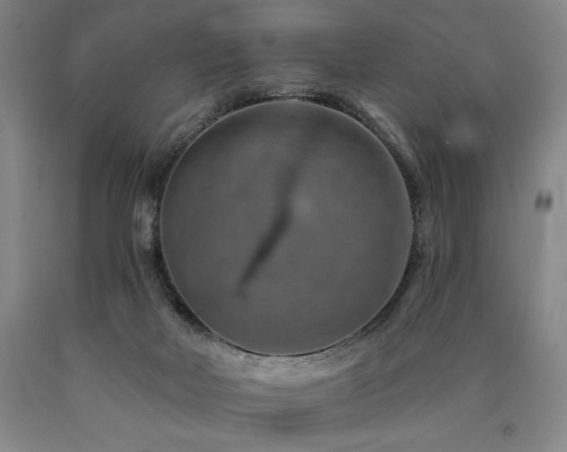 X0000090930026200707301605