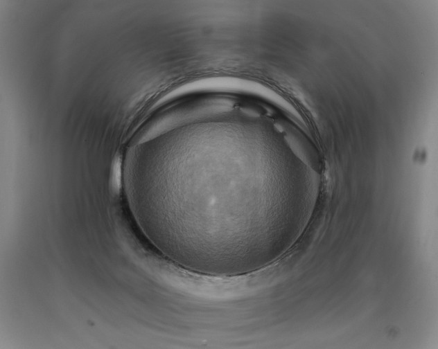 X0000090930027200707301605