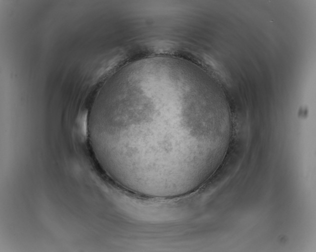 X0000090930028200707301605