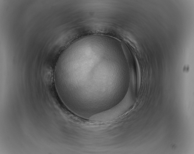 X0000090930029200707301605