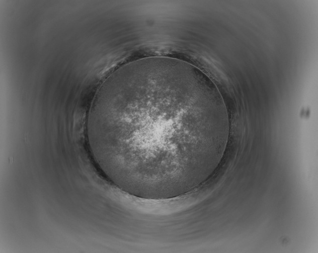 X0000090930030200707301605