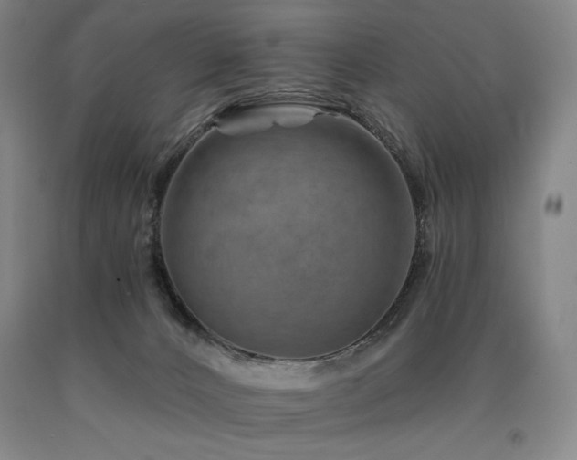X0000090930032200707301605