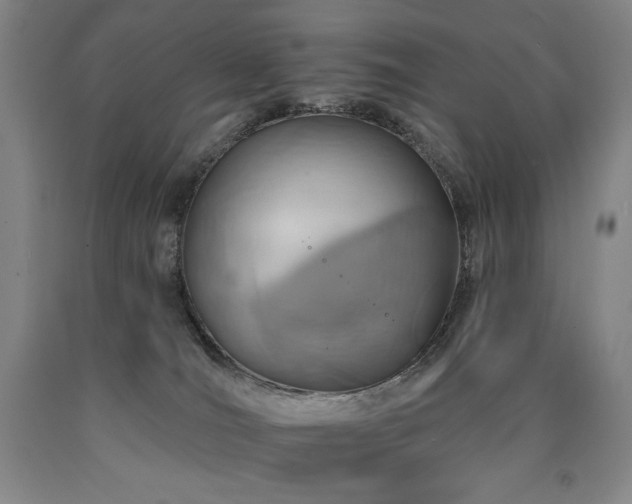 X0000090930036200707301604