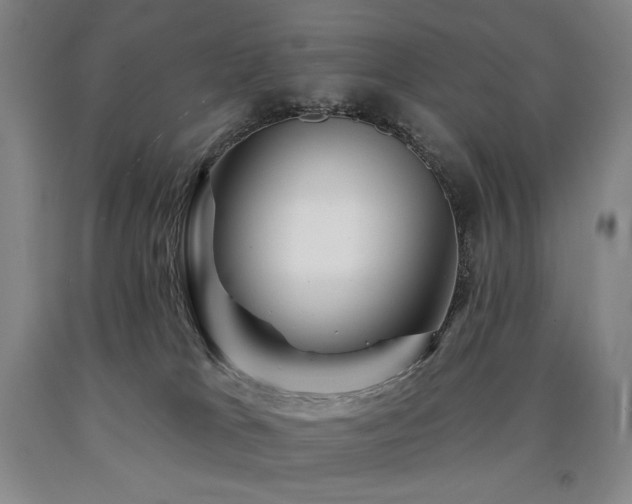 X0000090930037200707301604