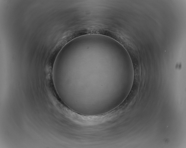 X0000090930038200707301604