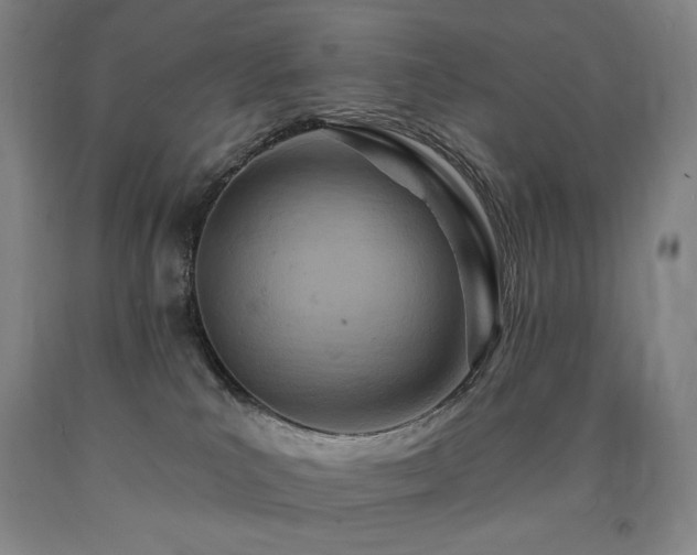 X0000090930039200707301604