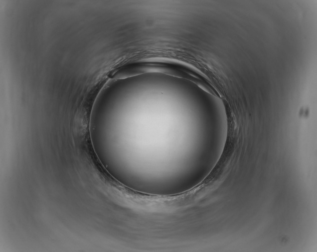 X0000090930040200707301604