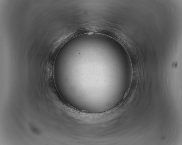 X0000090930043200707301604