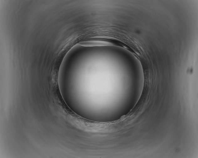 X0000090930044200707301604