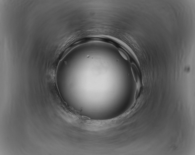 X0000090930045200707301604