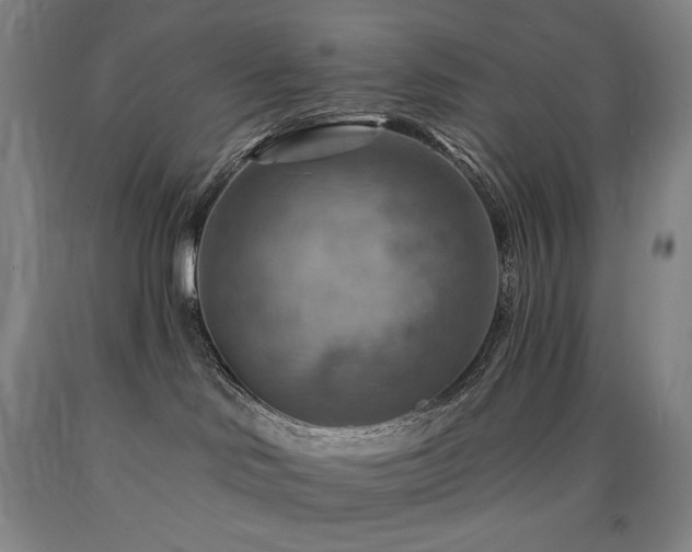 X0000090930046200707301604