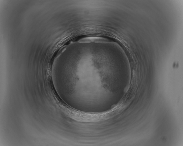 X0000090930048200707301604