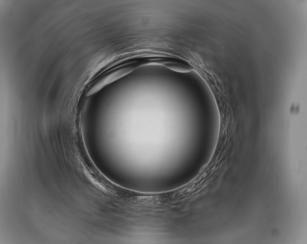 X0000090930050200707301604