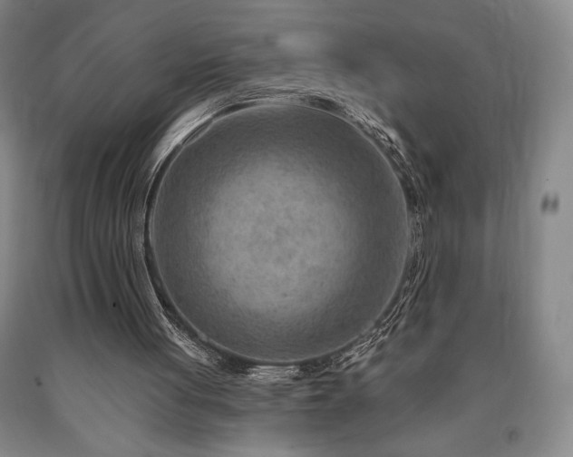 X0000090930051200707301604