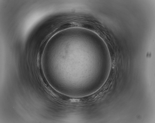 X0000090930052200707301604