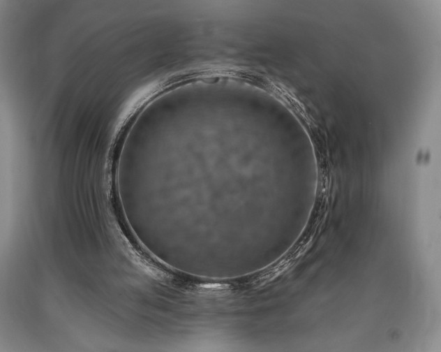 X0000090930053200707301604