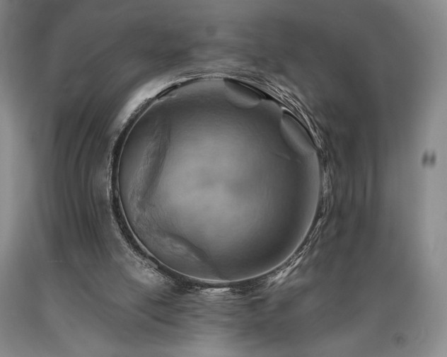 X0000090930054200707301604