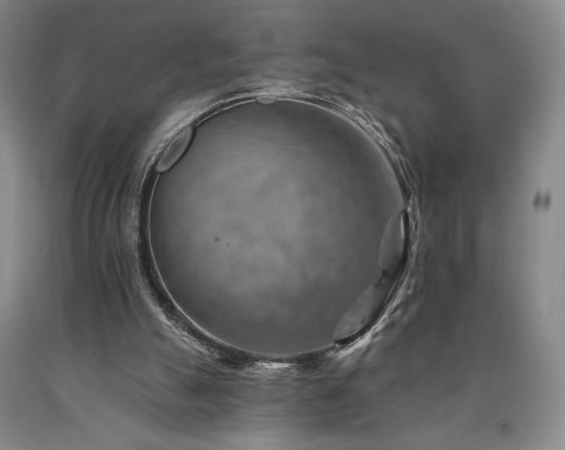 X0000090930055200707301604