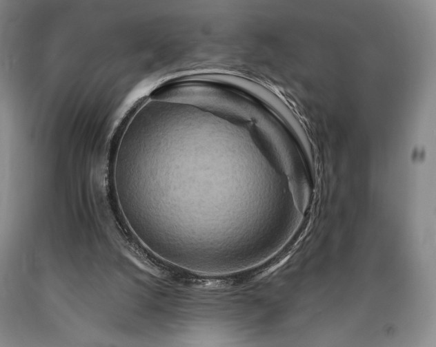 X0000090930056200707301604
