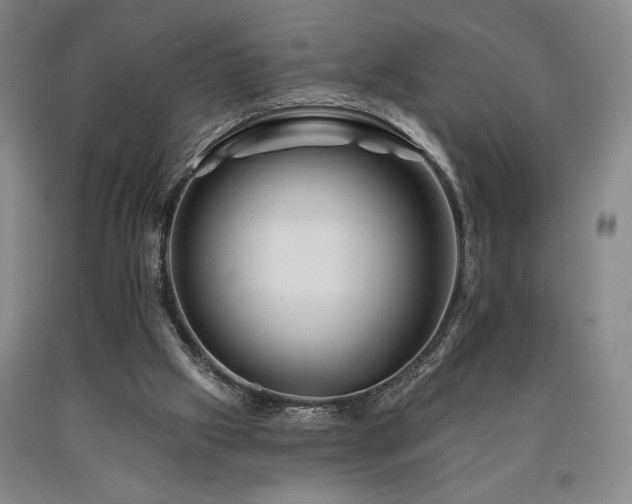 X0000090930057200707301604