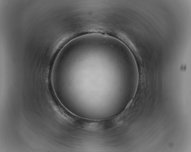 X0000090930058200707301604