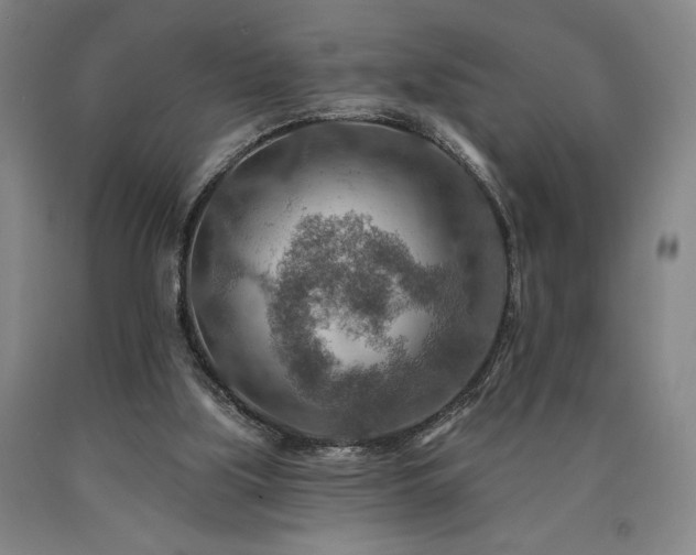 X0000090930059200707301604