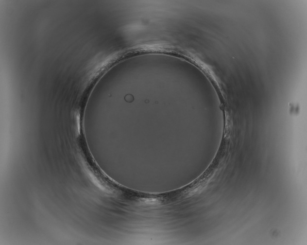 X0000090930061200707301604