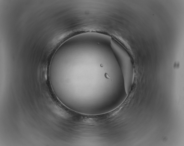 X0000090930062200707301604