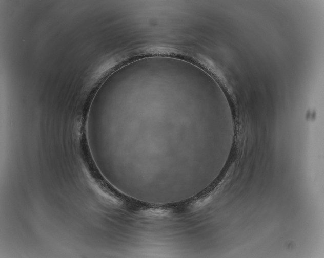 X0000090930063200707301604