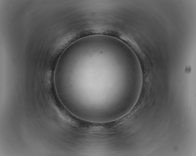 X0000090930066200707301604
