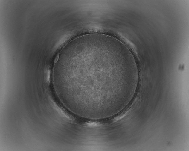 X0000090930067200707301604