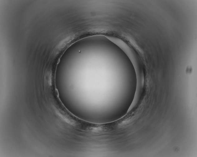 X0000090930068200707301604