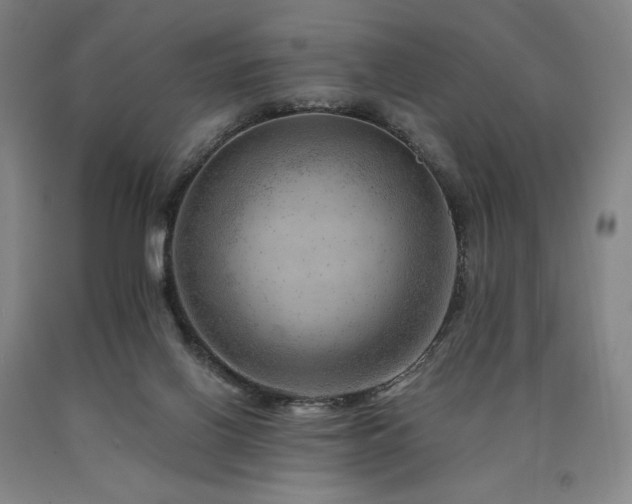 X0000090930070200707301604
