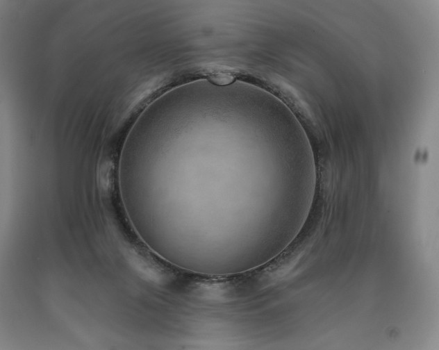 X0000090930071200707301604