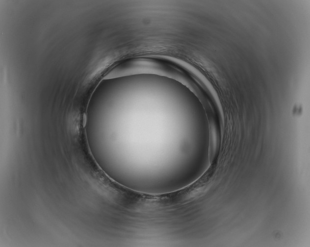 X0000090930072200707301604