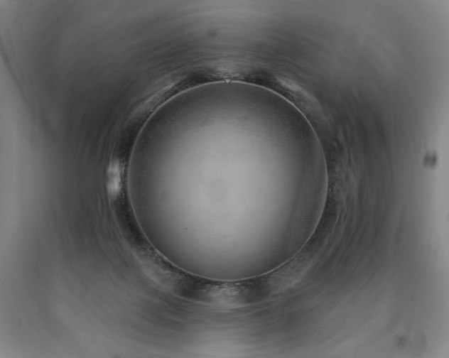 X0000090930075200707301604