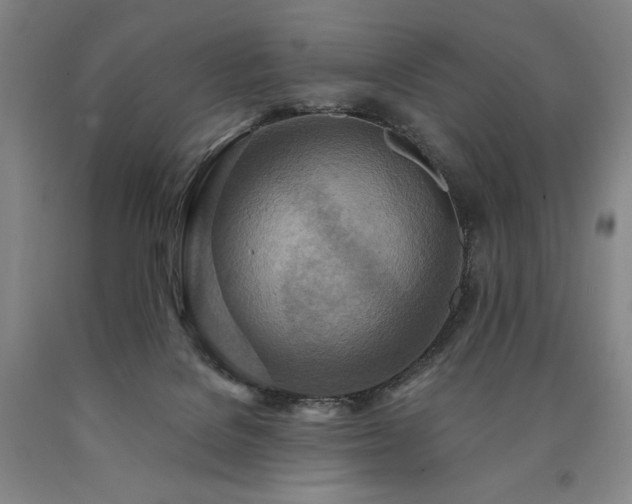 X0000090930076200707301604