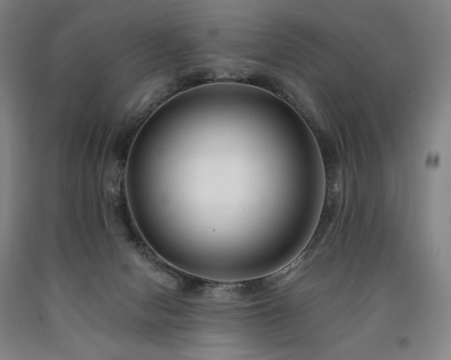 X0000090930078200707301604