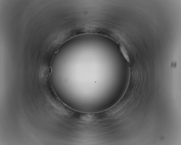 X0000090930079200707301604