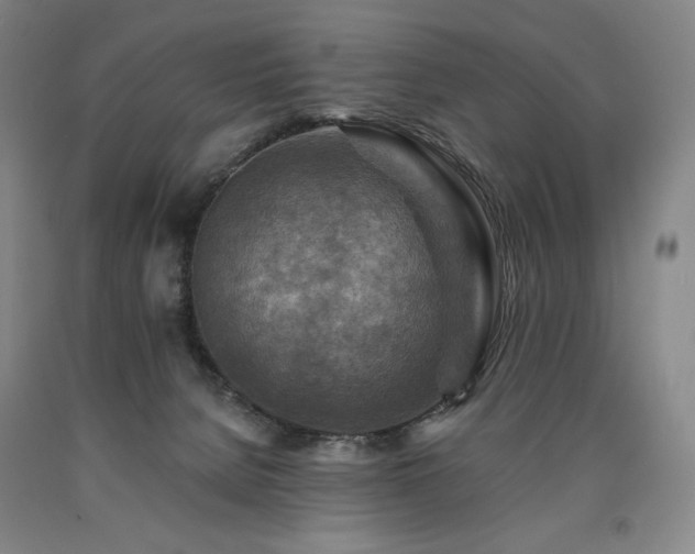 X0000090930080200707301604