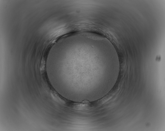 X0000090930081200707301604