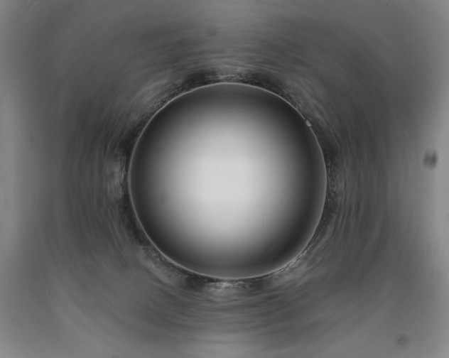 X0000090930082200707301604