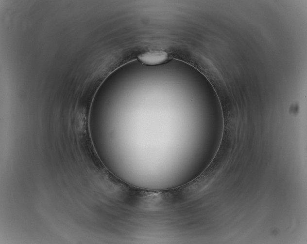 X0000090930083200707301604