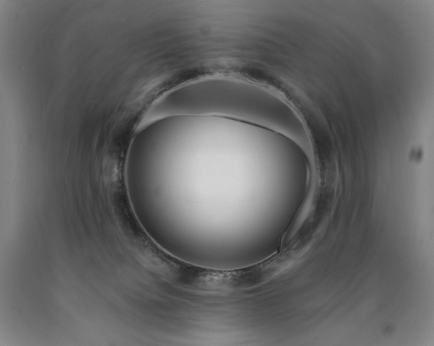 X0000090930084200707301604
