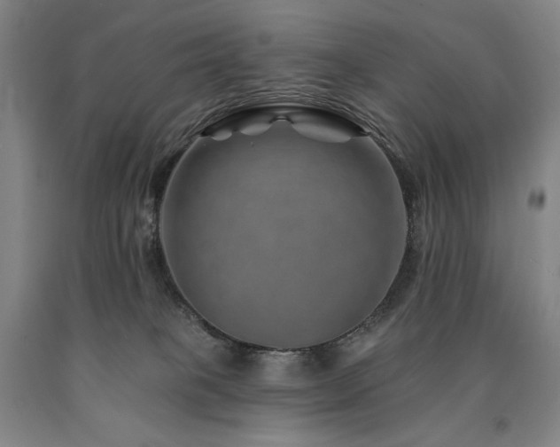 X0000090930085200707301604