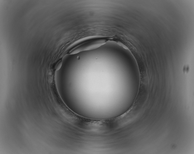 X0000090930086200707301604
