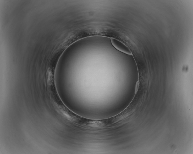 X0000090930087200707301604